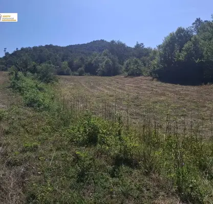 Photo 4 — Plot in Veliko Tyrnovo, s. Todyuvtsi