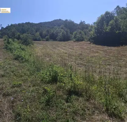 Photo 5 — Plot in Veliko Tyrnovo, s. Todyuvtsi