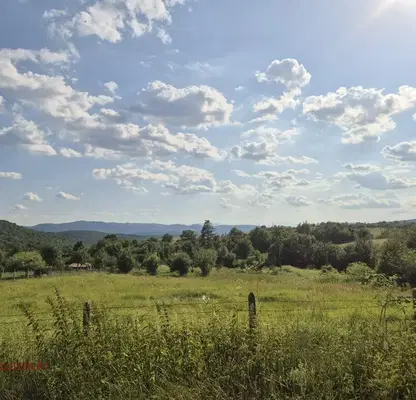 Photo 4 — Plot in Oblast Veliko Tyrnovo, с. Търкашени