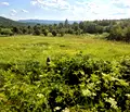 Снимка 5 — Парцел във Велико Търново, с. Търкашени