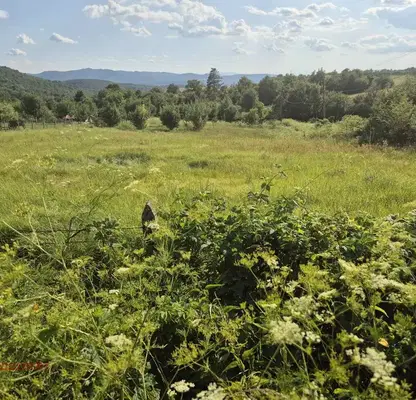 Photo 5 — Plot in Oblast Veliko Tyrnovo, с. Търкашени