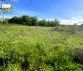 Снимка 3 — Парцел във Велико Търново, с. Велчево