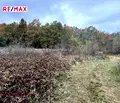 Снимка 2 — Парцел във Велико Търново, с. Велчево