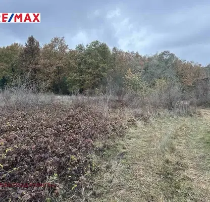 Photo 2 — Plot in Oblast Veliko Tyrnovo, Velchevo