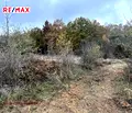 Снимка 3 — Парцел във Велико Търново, с. Велчево