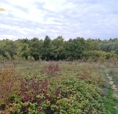 Photo 2 — Plot in Oblast Veliko Tyrnovo, Velchevo