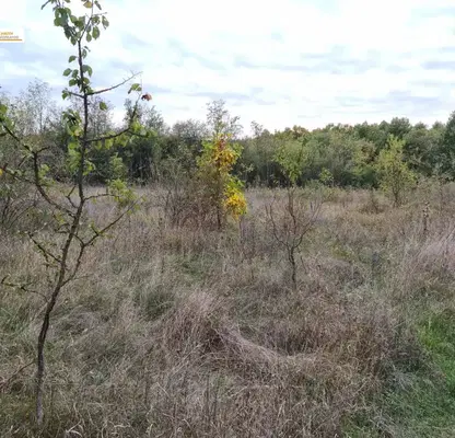 Photo 3 — Plot in Oblast Veliko Tyrnovo, Velchevo