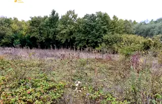 Парцел във Велико Търново, с. Велчево