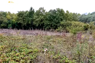 Парцел във Велико Търново, с. Велчево