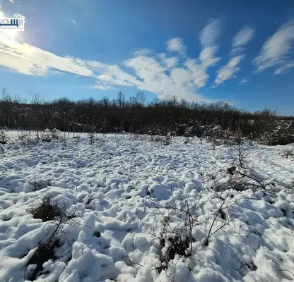 Photo 4 — Plot in Oblast Veliko Tyrnovo, Velchevo