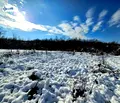 Снимка 5 — Парцел във Велико Търново, с. Велчево