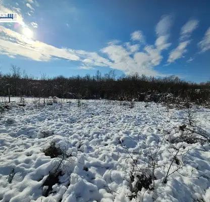 Photo 5 — Plot in Oblast Veliko Tyrnovo, Velchevo