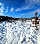 Парцел във Велико Търново, с. Велчево