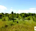Снимка 5 — Парцел във Велико Търново, с. Велчево