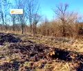 Снимка 2 — Парцел във Велико Търново, с. Велчево