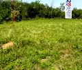 Снимка 2 — Парцел във Велико Търново, с. Велчево