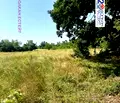 Снимка 2 — Парцел във Велико Търново, с. Велчево