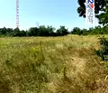 Снимка 4 — Парцел във Велико Търново, с. Велчево