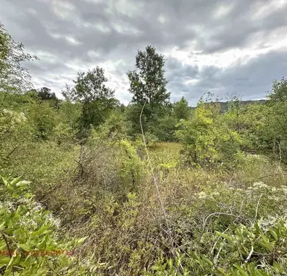 Photo 4 — Plot in Oblast Veliko Tyrnovo, Velchevo