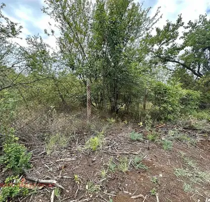 Photo 5 — Plot in Oblast Veliko Tyrnovo, Velchevo
