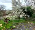 Снимка 2 — Парцел във Велико Търново, с. Велчево