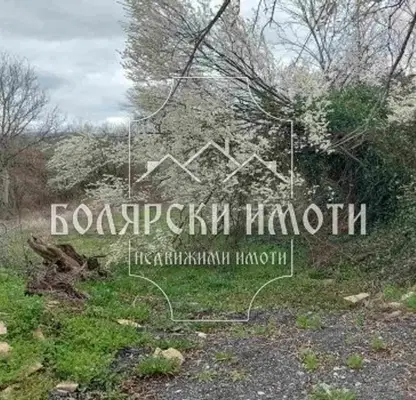 Снимка 2 — Парцел във Велико Търново, с. Велчево