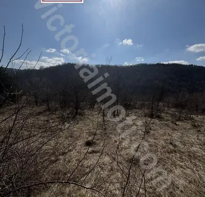 Photo 2 — Plot in Oblast Veliko Tyrnovo, Voineja