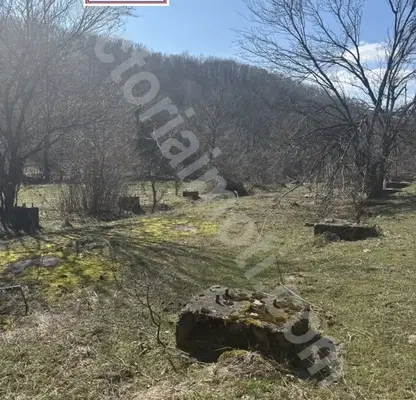 Photo 3 — Plot in Oblast Veliko Tyrnovo, Voineja