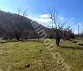 Снимка 4 — Парцел във Велико Търново, с. Войнежа