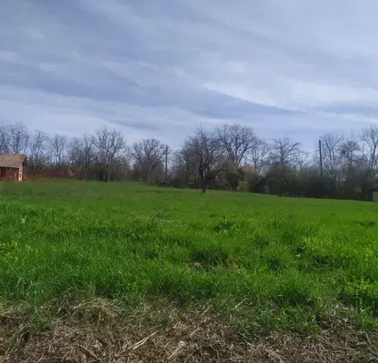 Photo 2 — Plot in Oblast Veliko Tyrnovo, Voineja