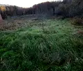 Снимка 3 — Парцел във Велико Търново, с. Вонеща вода