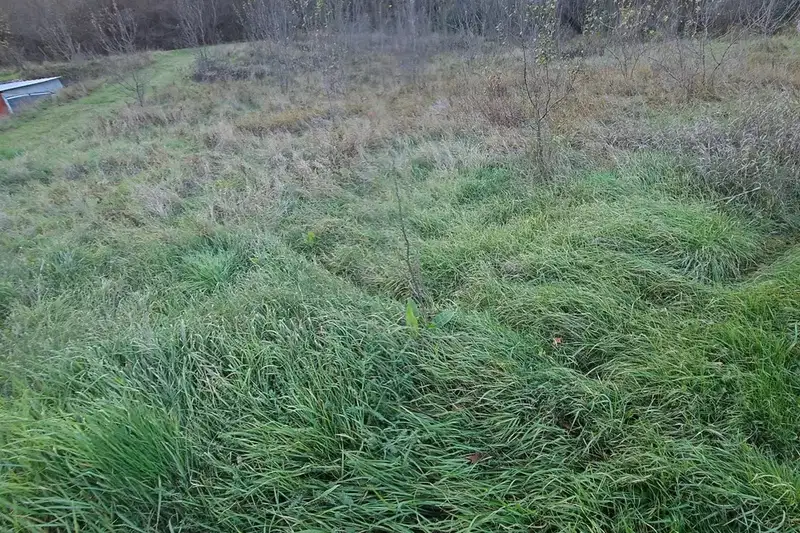 Парцел във Велико Търново, с. Вонеща вода