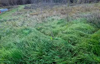 Парцел във Велико Търново, с. Вонеща вода