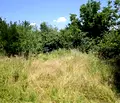 Снимка 4 — Парцел във Велико Търново, с. Върбица