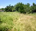 Снимка 5 — Парцел във Велико Търново, с. Върбица