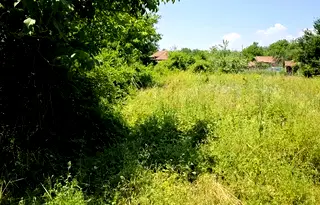 Парцел във Велико Търново, с. Върбица