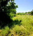 Парцел във Велико Търново, с. Върбица