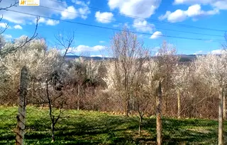 Парцел във Велико Търново, с. Яковци