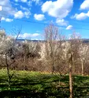 Парцел във Велико Търново, с. Яковци