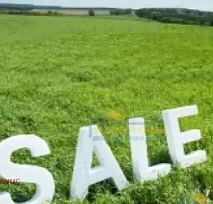 Photo 2 — Plot in Oblast Veliko Tyrnovo, Yalovo