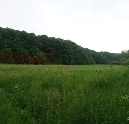 Photo 2 — Plot in Vidin, Belochik