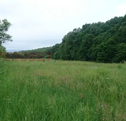 Photo 3 — Plot in Vidin, Belochik
