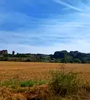 Парцел във Видин, Белочик