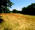 Снимка 2 — Парцел във Враца, Козлодуй