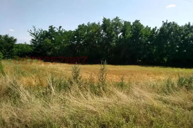 Парцел във Враца, Козлодуй