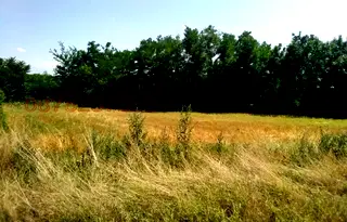 Парцел във Враца, Козлодуй