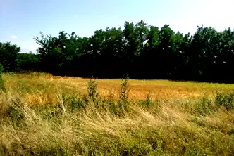 Парцел във Враца, Козлодуй