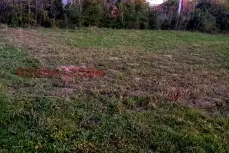 Парцел във Враца, Козлодуй