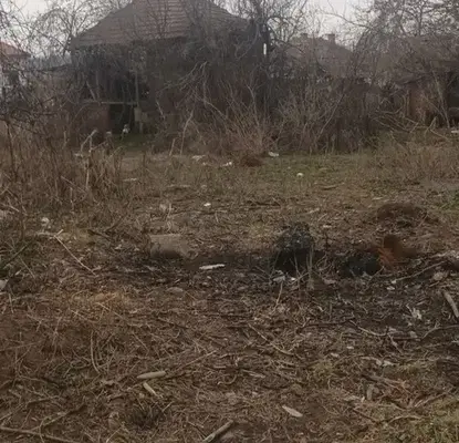 Photo 3 — Plot in Oblast Vraca, Krivodol