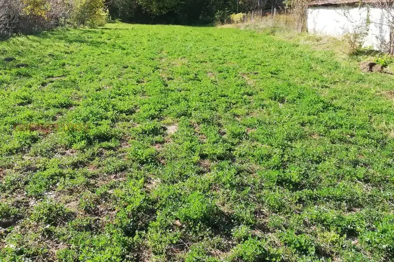 Plot in Oblast Vraca, Miziya